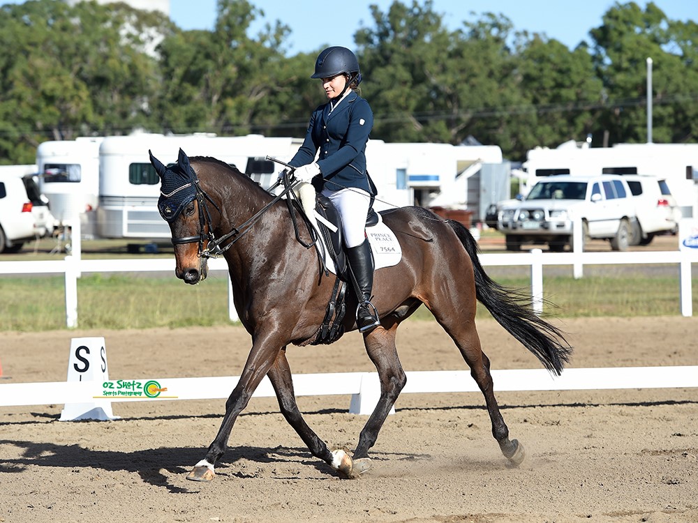 Charlotte Awarded State Dressage Champion - Prince of Peace | North ...